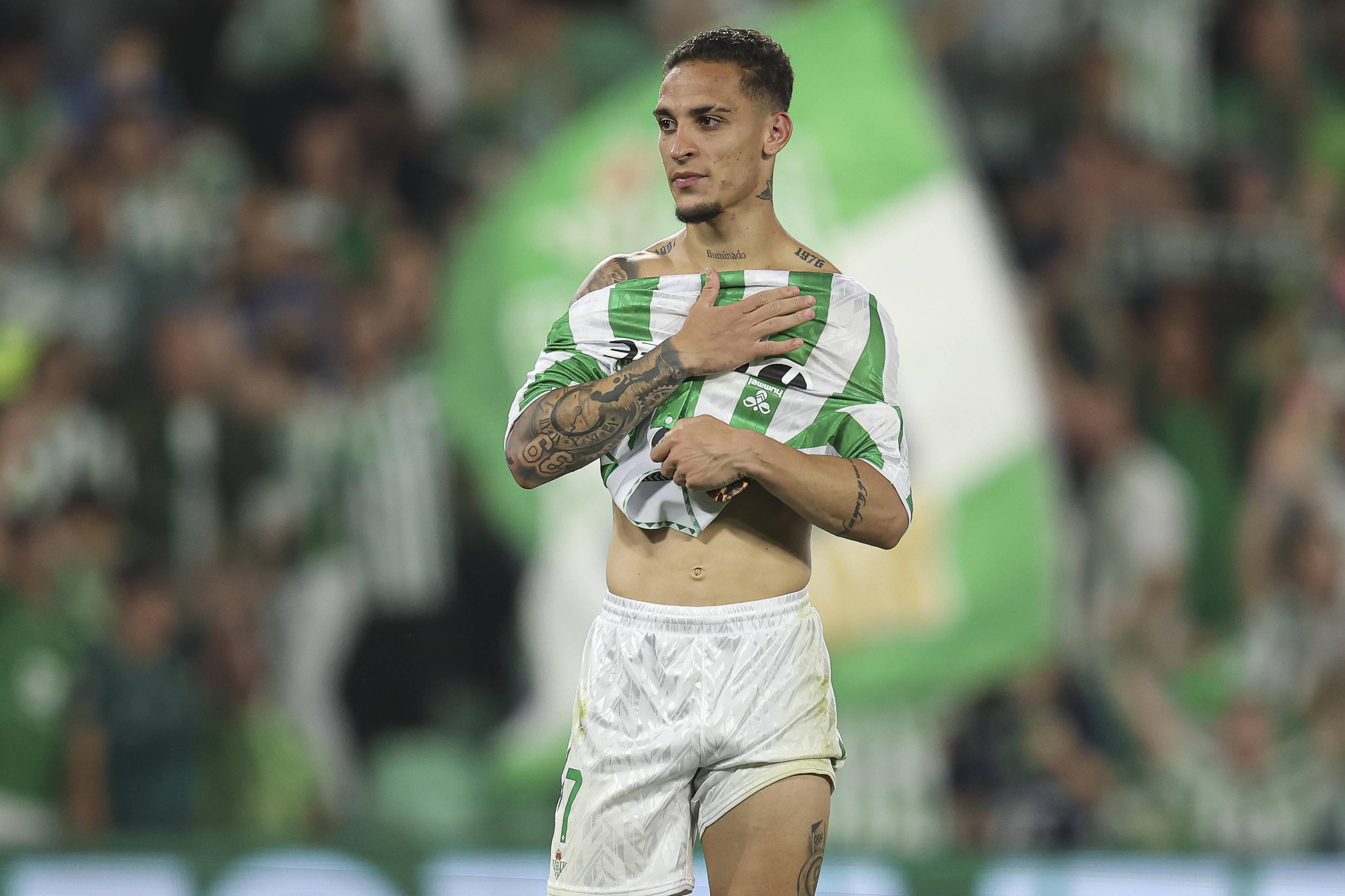 在夏季友谊 在夏季友谊