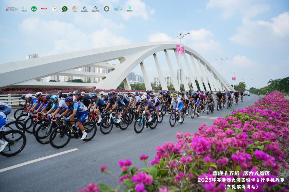 ck大石, img ck大石, img